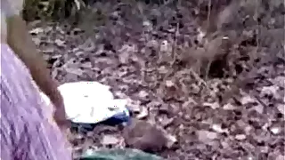 Indian amateur desi sex in public forest